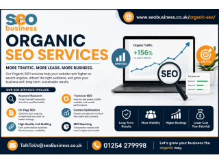 organic-seo-services-for-sustainable-online-growth-small-0