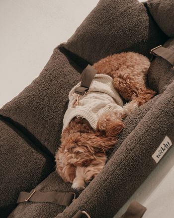 premium-dog-car-seat-for-safe-comfortable-travel-big-0