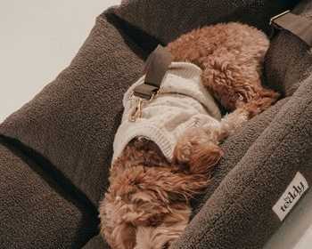 premium-dog-car-seat-for-safe-comfortable-travel