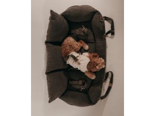 premium-dog-car-seat-for-safe-comfortable-travel-small-1