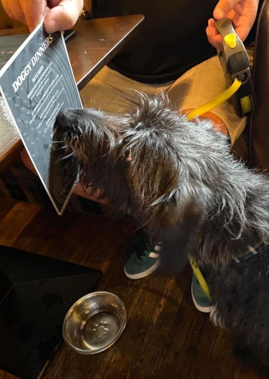 pet-friendly-accommodation-moffat-big-0