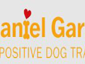 daniel-garrigan-positive-dog-training