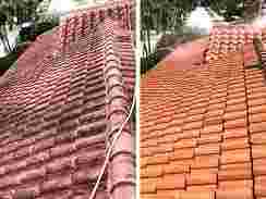 soft-wash-roof-cleaning-near-me
