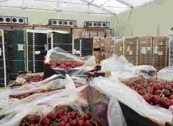 why-businesses-need-flexible-cold-storage-facilities-big-0