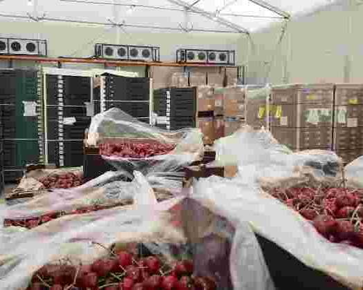 why-businesses-need-flexible-cold-storage-facilities
