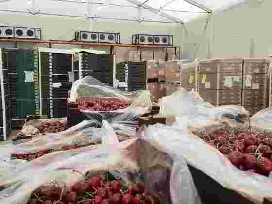 why-businesses-need-flexible-cold-storage-facilities