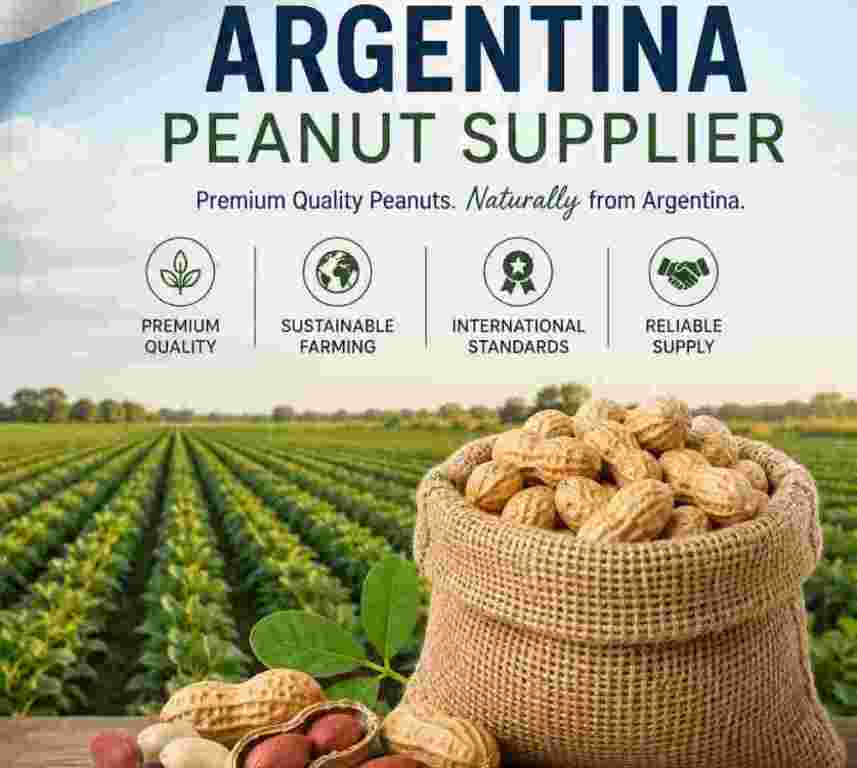 argentina-peanut-supplier-big-0