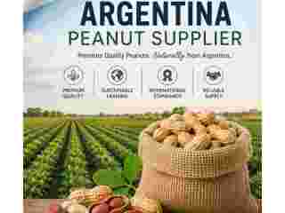 argentina-peanut-supplier-small-0