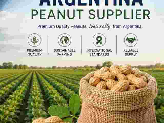 argentina-peanut-supplier