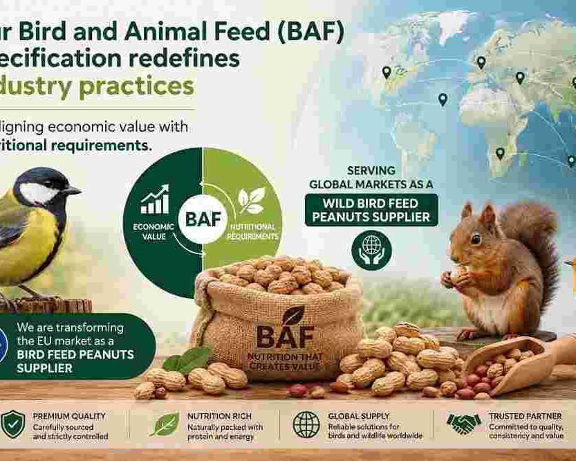 niger-seeds-supplier-for-bird-feed