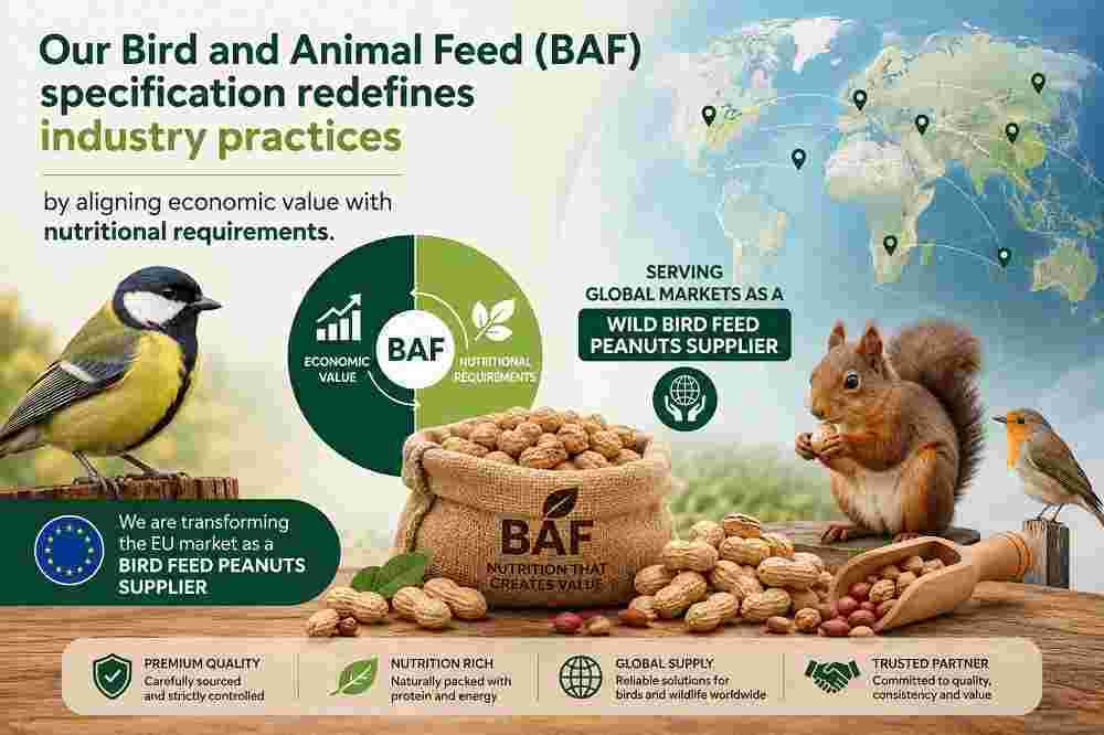 niger-seeds-supplier-for-bird-feed-big-0