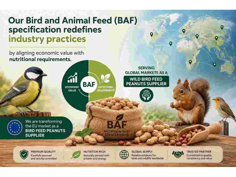 niger-seeds-supplier-for-bird-feed-small-0