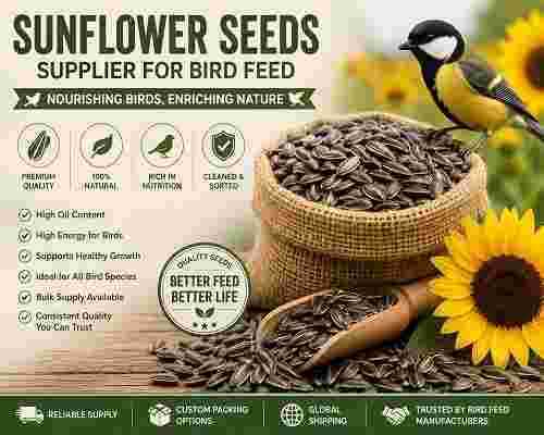 sunflower-seeds-supplier-for-bird-feed