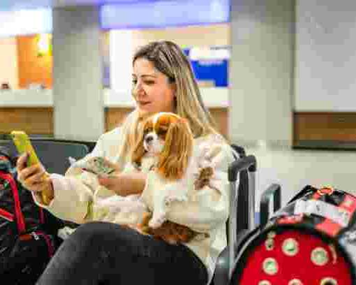 professional-dog-boarding-safe-comfortable-trusted-care