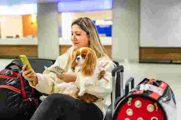 professional-dog-boarding-safe-comfortable-trusted-care-big-0