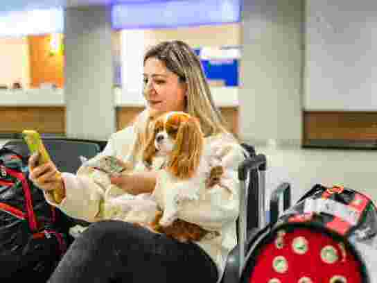 professional-dog-boarding-safe-comfortable-trusted-care