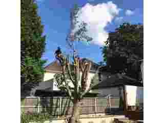 log-suppliers-dorchester-log-suppliers-weymouth-small-0