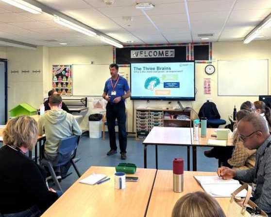 are-conflict-resolution-courses-worth-it-for-teams