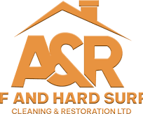 best-roof-cleaning-services-company-in-uk