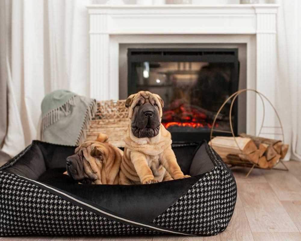 luxury-dog-beds