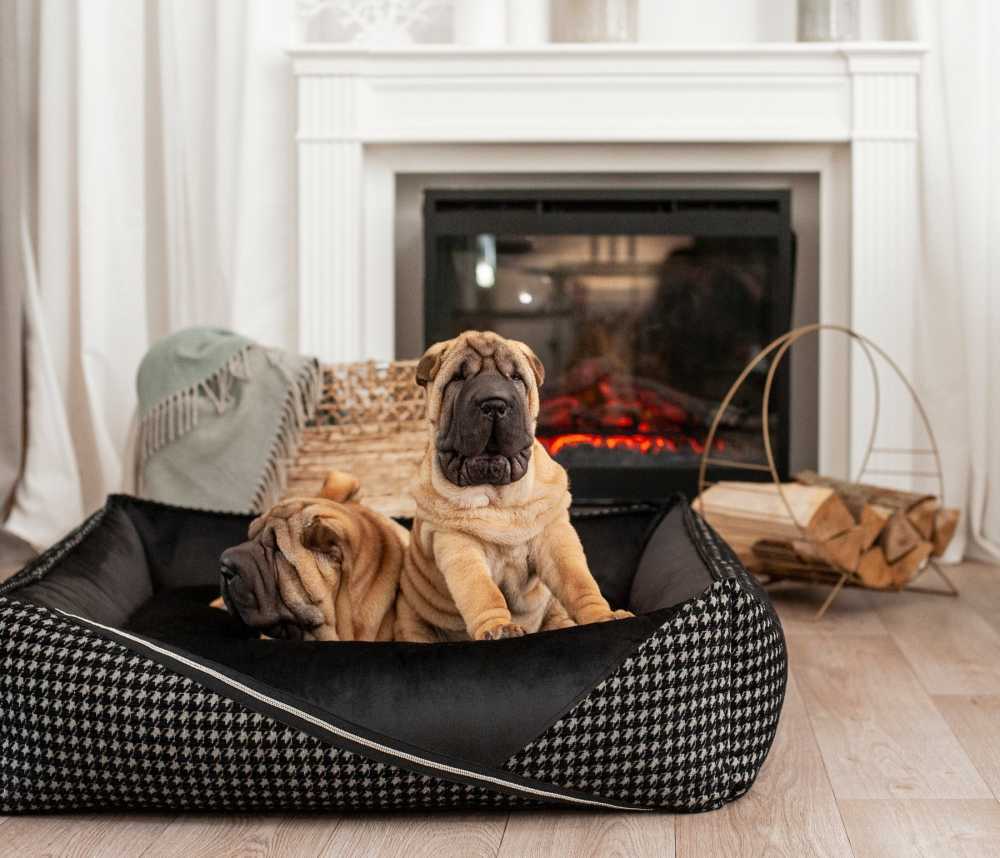 luxury-dog-beds-big-0