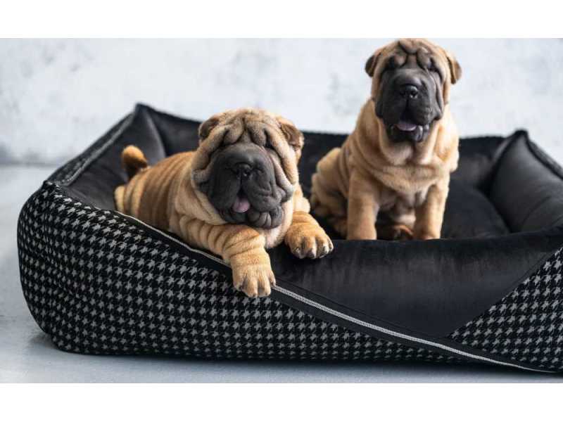 luxury-dog-beds-small-1