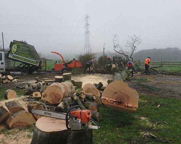 site-clearance-in-roundhay-alwoodley-leeds