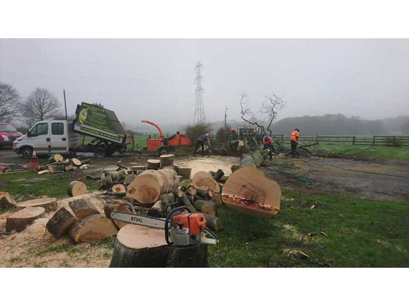 site-clearance-in-roundhay-alwoodley-leeds-small-0