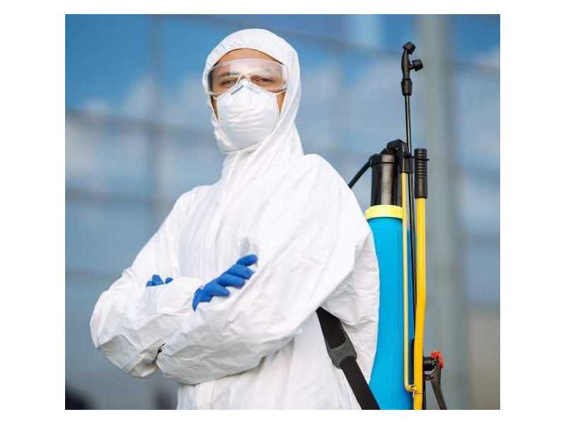 for-your-unexpected-requirement-our-pest-control-services-bath-small-0