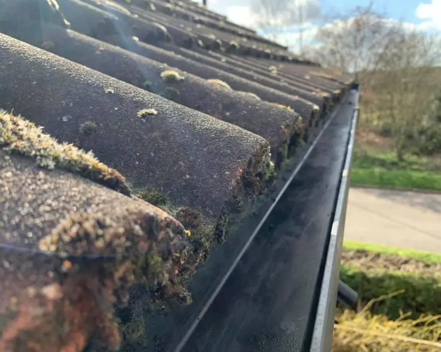 local-gutter-cleaning-services