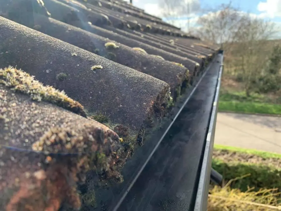 local-gutter-cleaning-services-big-0