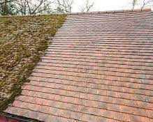 how-to-choose-the-right-roof-cleaning-company-for-your-home