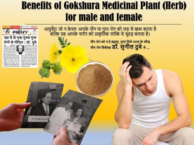 best-sexologist-in-patna-bihar-beneficial-gokshura-dr-sunil-dubey
