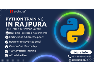 master-python-training-in-rajpura-erginous-technologies-small-0