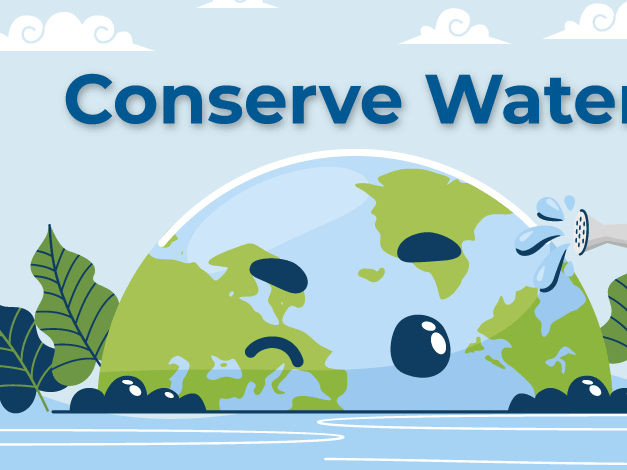 water-ngo-working-for-water-management-conservation
