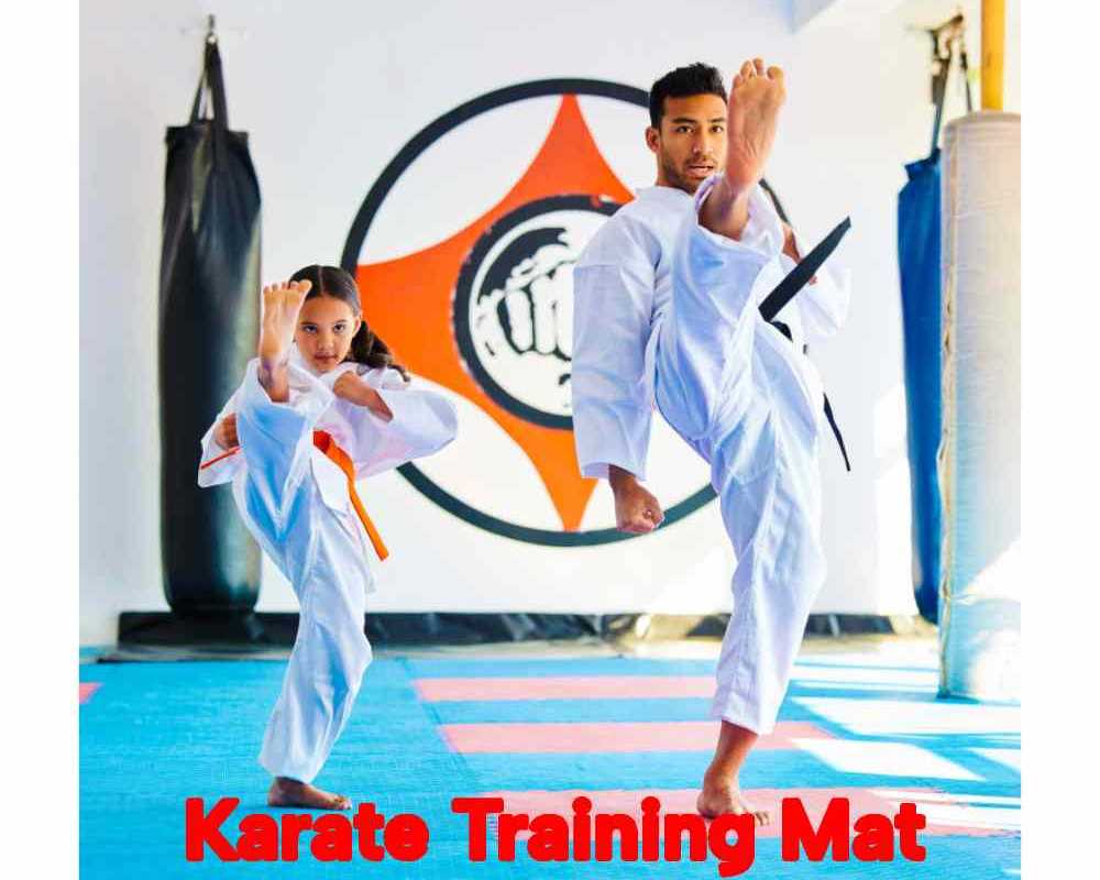 online-buy-karate-training-mat-in-delhi-gravolite