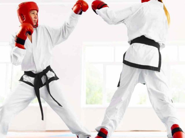 online-buy-karate-tournament-mat-gravolite