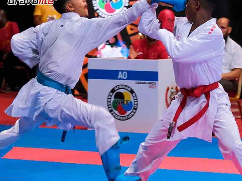 online-buy-karate-competition-mat-gravolite-big-0