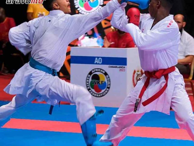 online-buy-karate-competition-mat-gravolite
