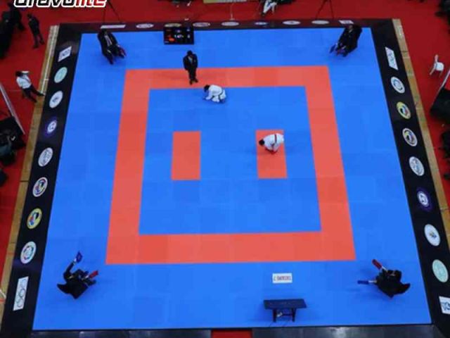 affordable-price-karate-rolling-mat-gravolite