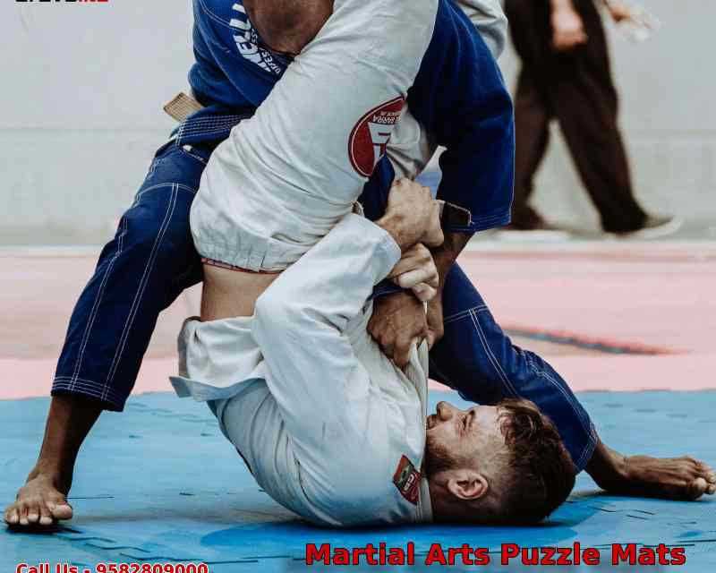 online-buy-martial-arts-puzzle-mats-gravolite