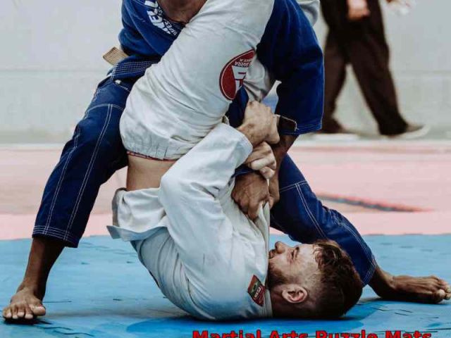 online-buy-martial-arts-puzzle-mats-gravolite
