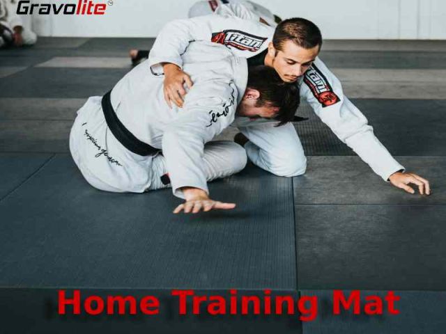 affordable-price-home-training-mat-gravolite