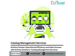 achieve-greater-operational-efficiency-with-enfuse-solutions-catalog-management-services-small-0