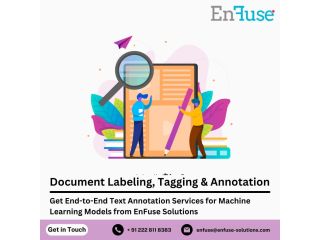 get-end-to-end-text-annotation-services-for-machine-learning-models-from-enfuse-solutions-small-0