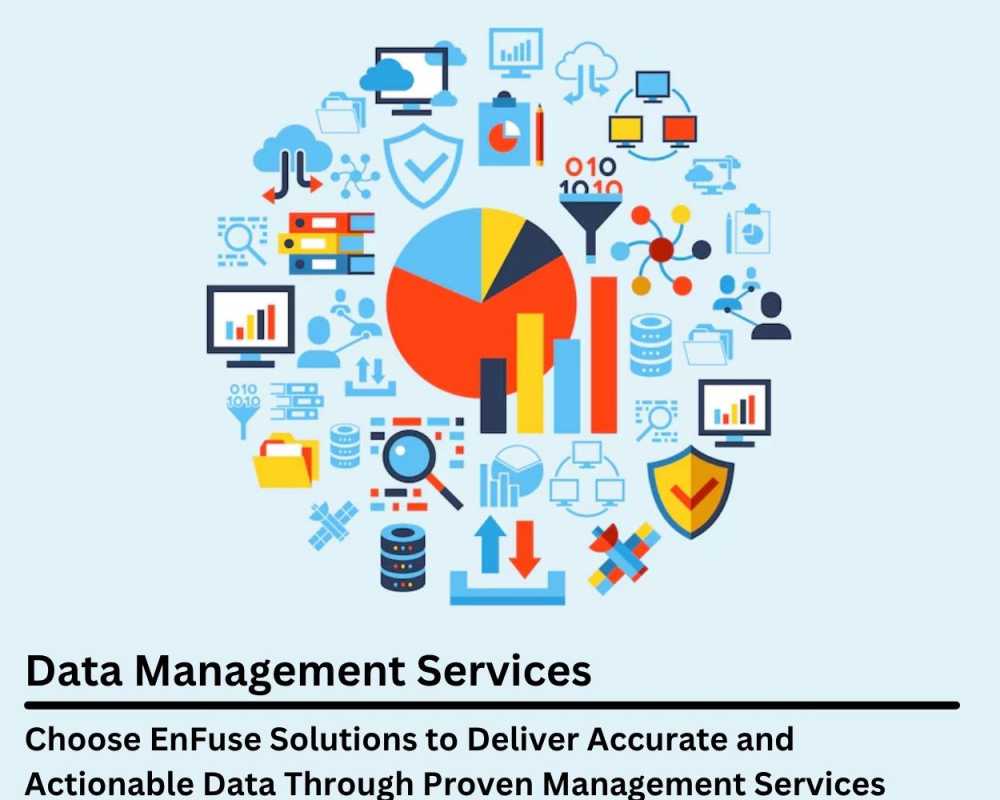 choose-enfuse-solutions-to-deliver-accurate-and-actionable-data-through-proven-management-services