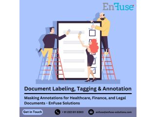 masking-annotations-for-healthcare-finance-and-legal-documents-enfuse-solutions-small-0