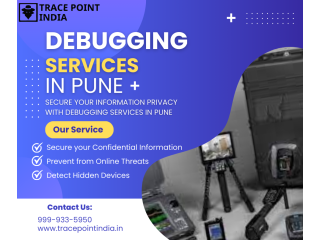 secure-your-privacy-with-experienced-debugging-services-in-pune-small-0