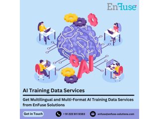 get-multilingual-and-multi-format-ai-training-data-services-from-enfuse-solutions-small-0