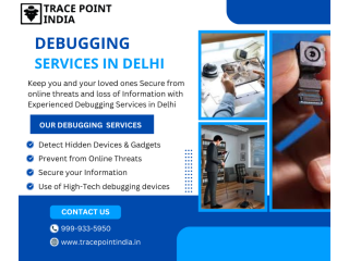 debugging-services-in-securing-information-of-corporates-small-0